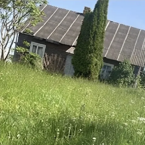 Sodyba Keičiama Į 1 Kambario Butą